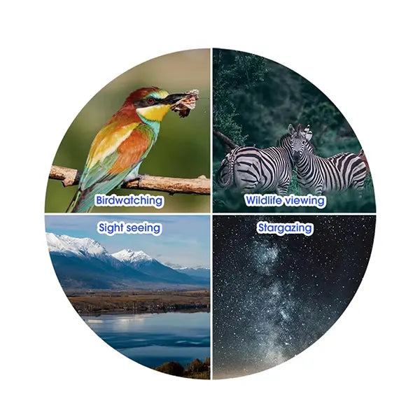 BiBird X8 Binoculars For Bird Watching