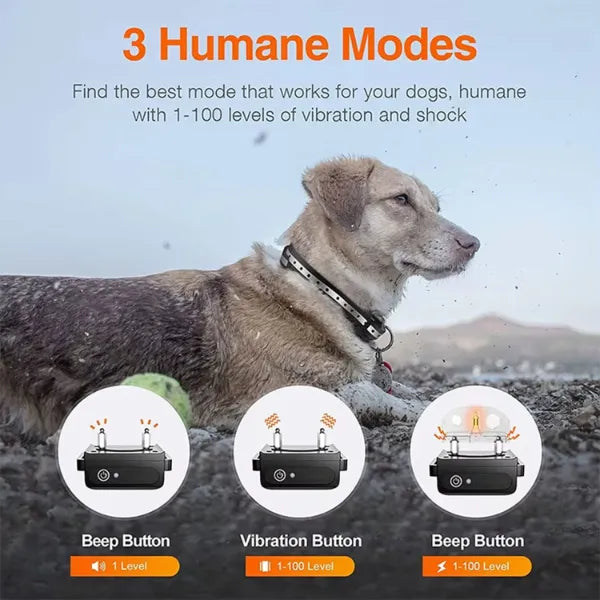 K9Mentor Dog Training Collars UK44