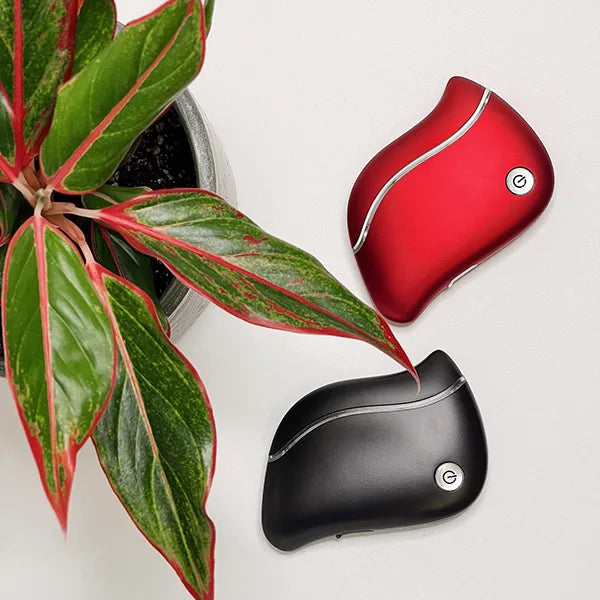 EviNia Face Massagers