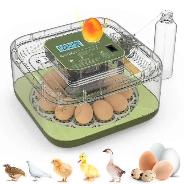 EggCrest Hatch Incubators UK44