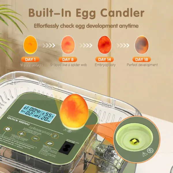 EggCrest Hatch Incubators UK44
