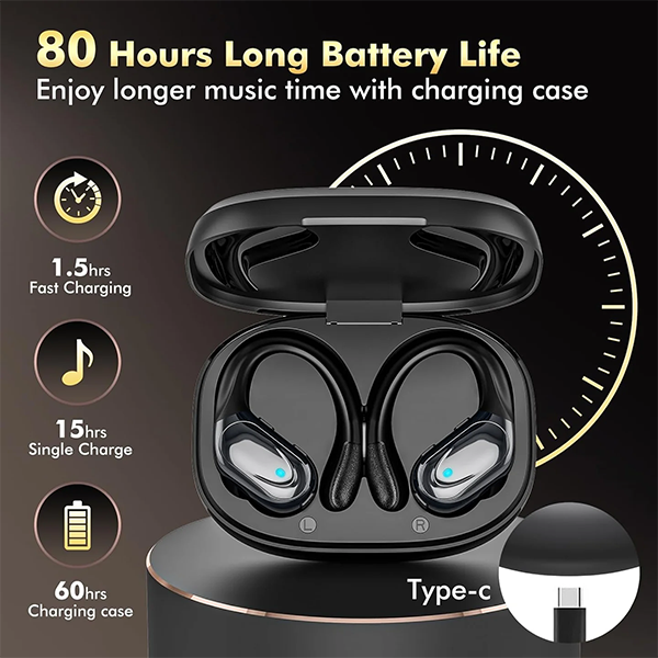 Erobuds Gym Earbuds