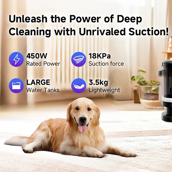 Carpetiva Carpet Cleaners UK44