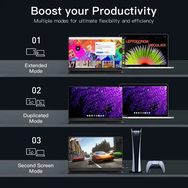Monivue Portable Monitors