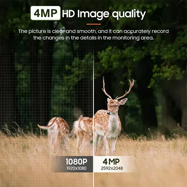 RediffeCam Wildlife Cameras