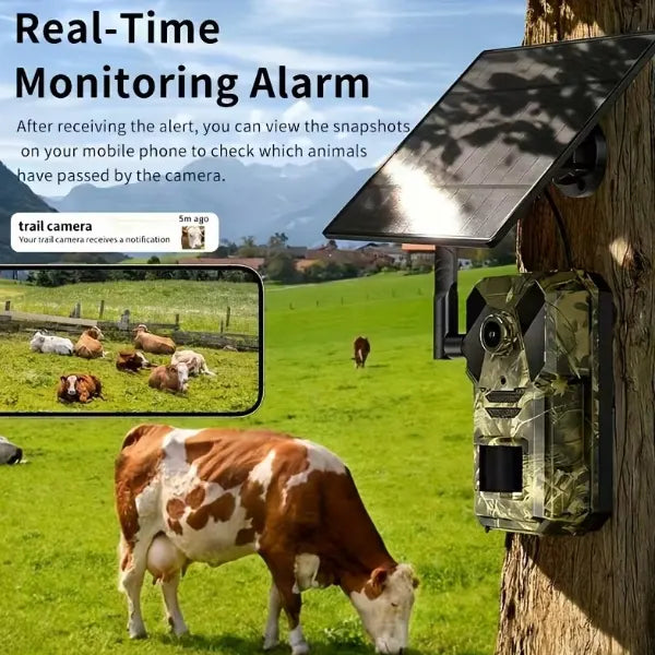 TrailNexa Trail camera UK44