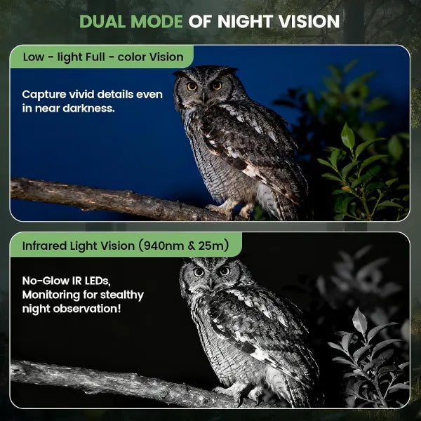 TrailNexa Trail camera UK44