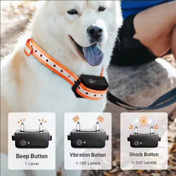 K9Mentor Dog Training Collars UK44