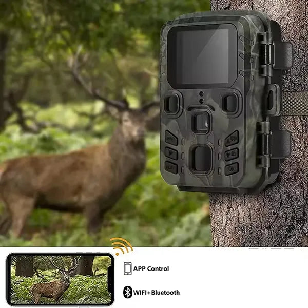 Nighto Wildlife Cameras