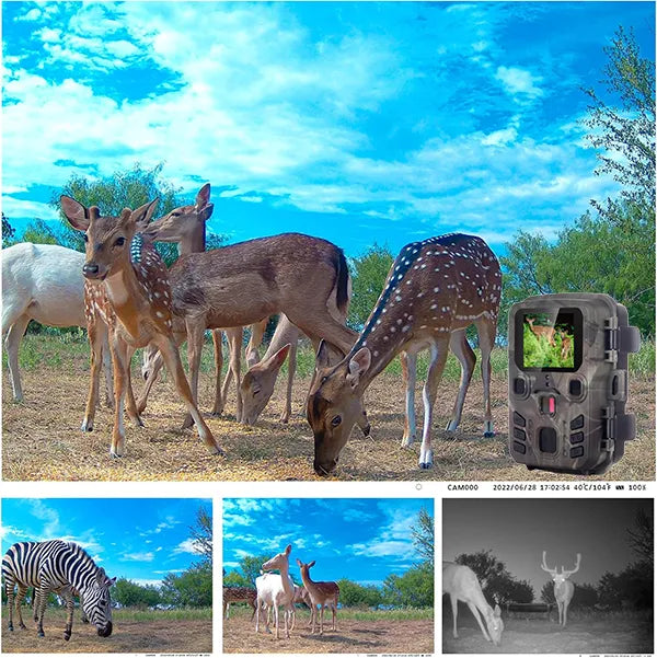 Nighto Wildlife Cameras